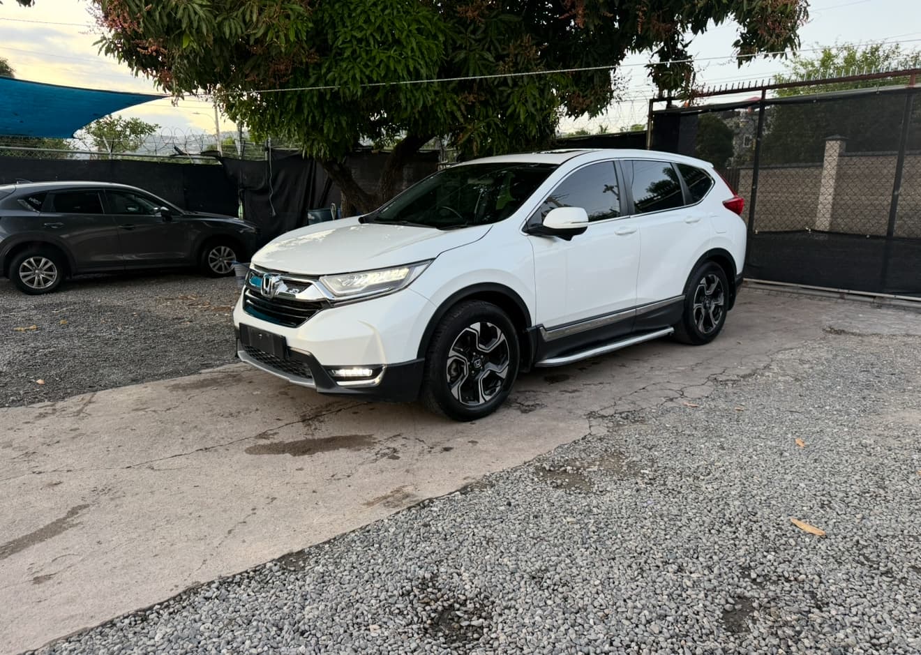 Honda Crv
